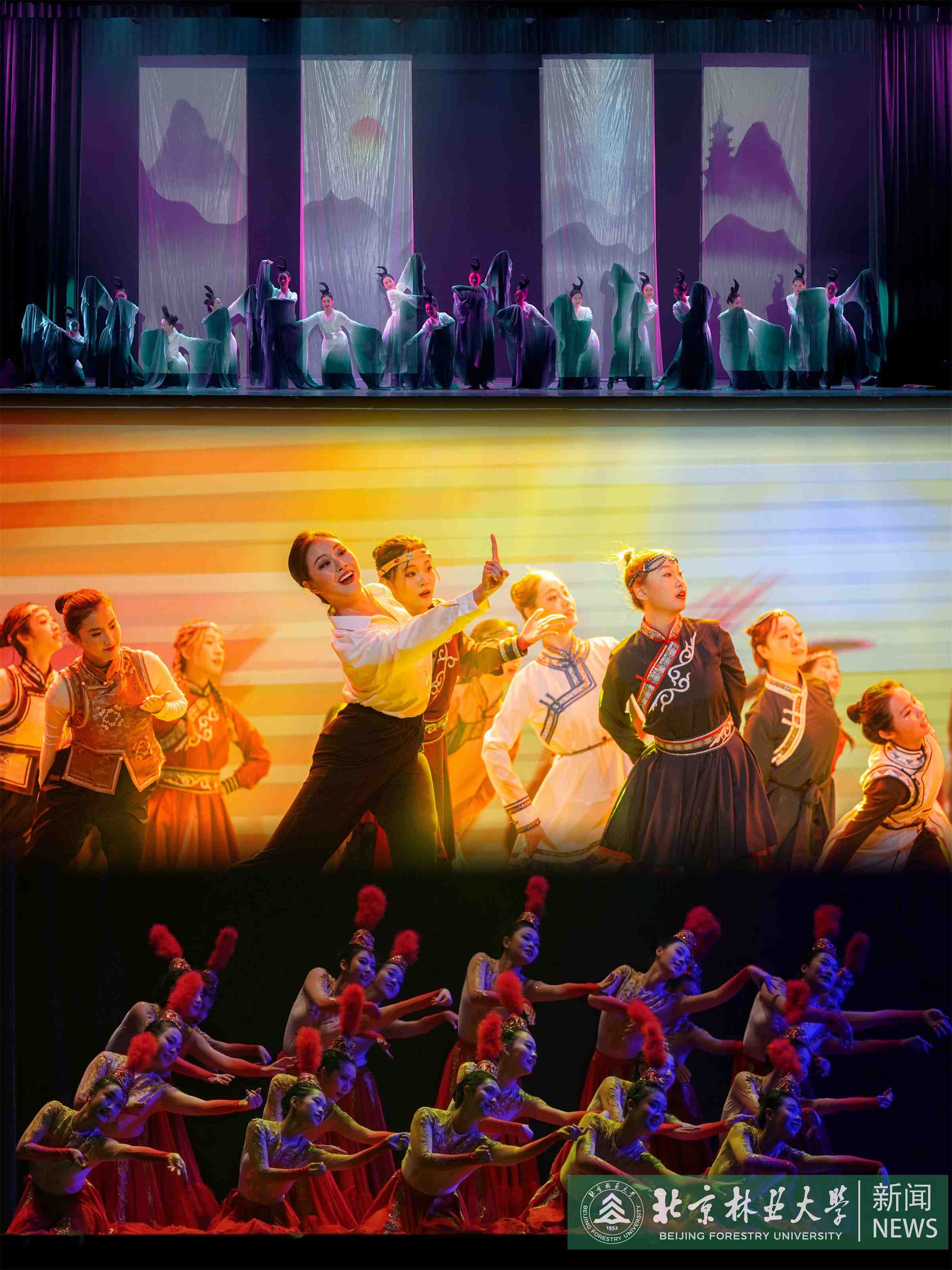 北林大原創(chuàng)生態(tài)舞蹈詩(shī)《共生》 (3).jpg