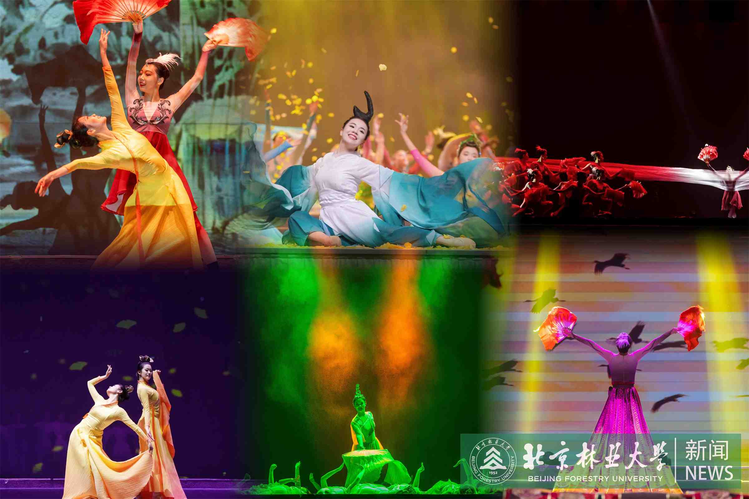 北林大原創(chuàng)生態(tài)舞蹈詩(shī)《共生》 (1).jpg